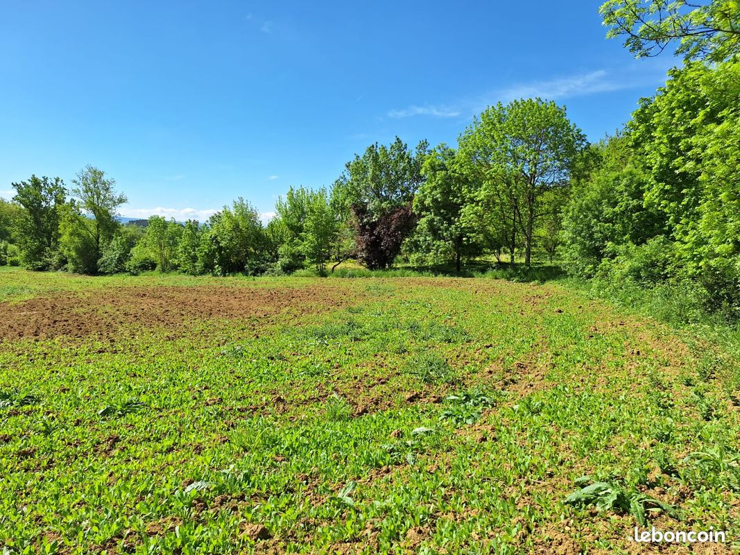 3 Hectares Agricoles à Thiès